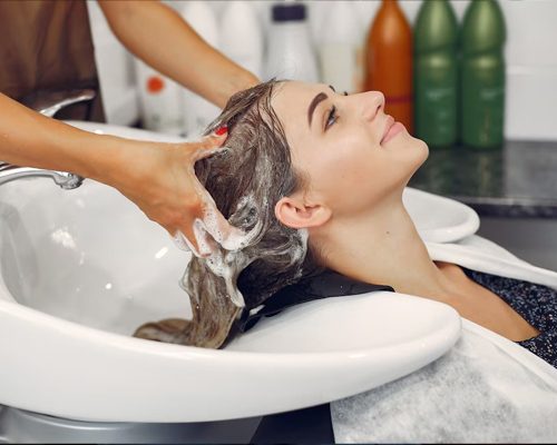 Head Wash and Blow Dry